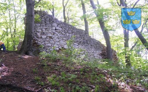 : Ruiny zamku w udorskim lesie